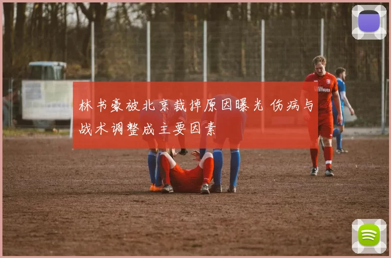 林书豪被北京裁掉原因曝光 伤病与战术调整成主要因素