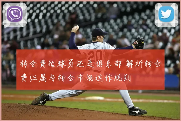 转会费给球员还是俱乐部 解析转会费归属与转会市场运作规则