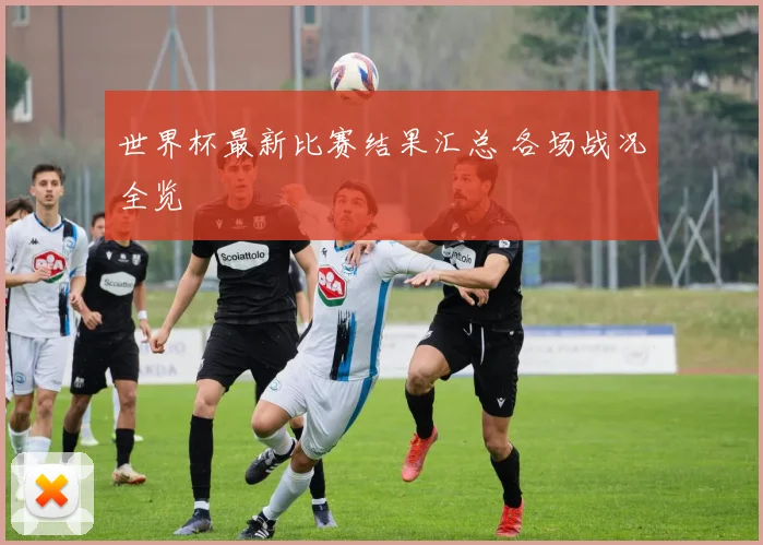 世界杯最新比赛结果汇总 各场战况全览