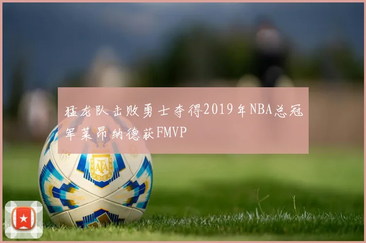 猛龙队击败勇士夺得2019年NBA总冠军莱昂纳德获FMVP